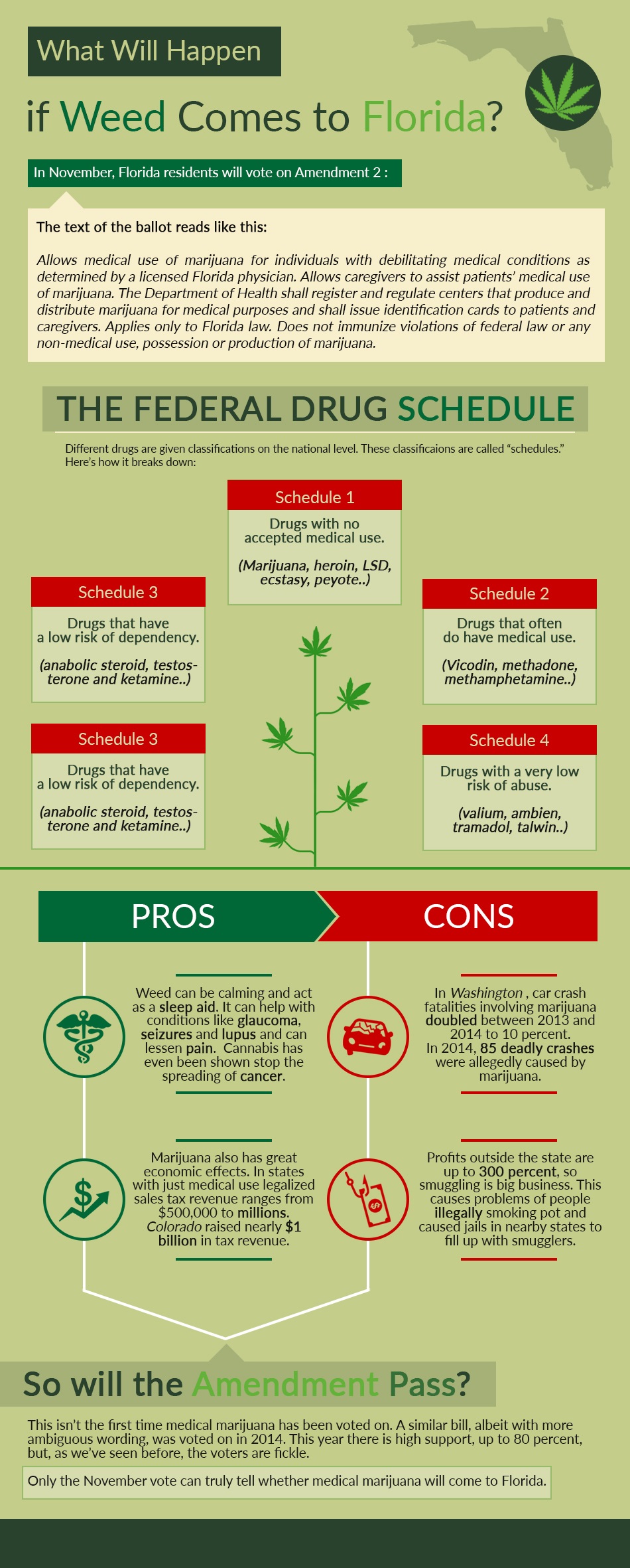 orlando criminal team florida weed infographic