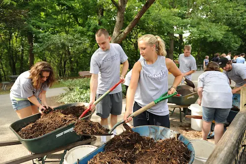 Nazareth College students shoveling mulch out of multiple wheelbarrows